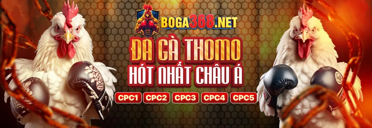 Đá Gà Trực Tuyến JUN888 Link Mới Nhất 2026
